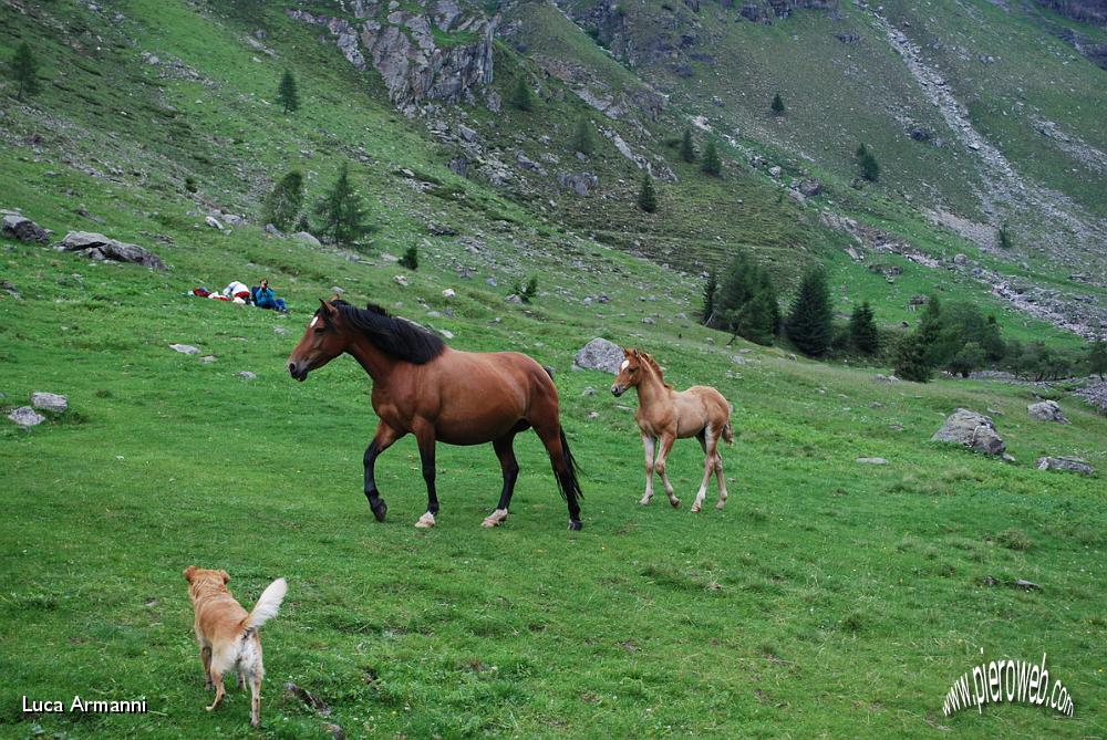 41 La piccola famigliola si avvicina.JPG